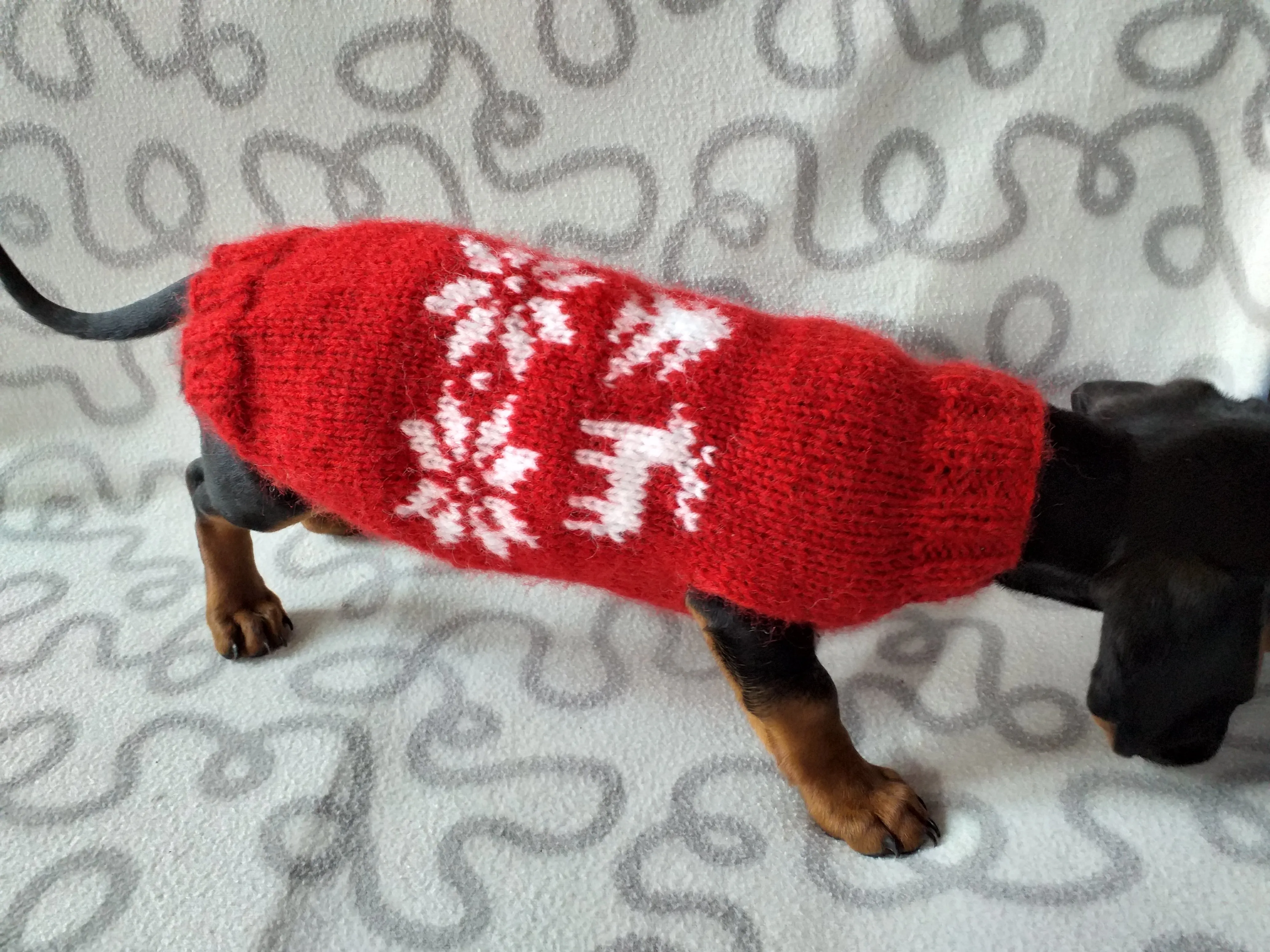 Christmas wool sweater with deer and snowflakes for a small dog, sweater deer for dog, christmas sweater with deer for little dachshund