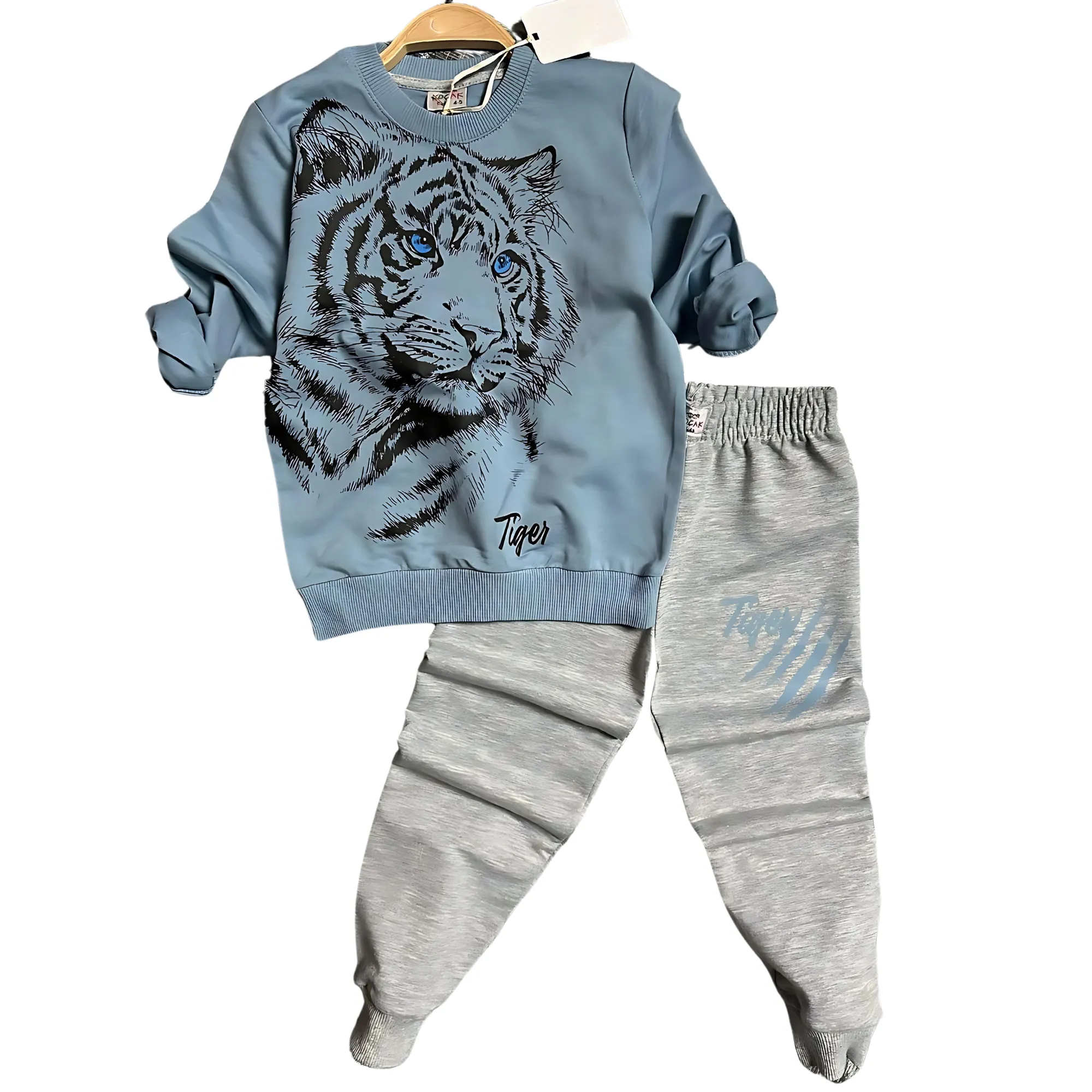 Cool Tiger Boys Joggers Set